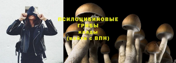 гидропоника Волоколамск