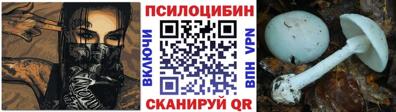 Псилоцибиновые грибы Psilocybe  наркотики  Еманжелинск 
